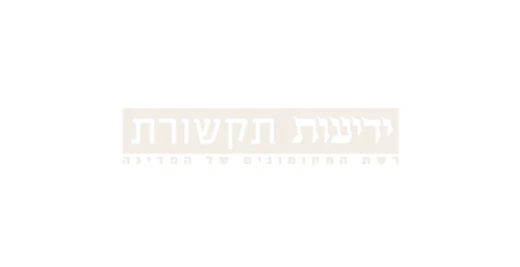 לוגו פלסון